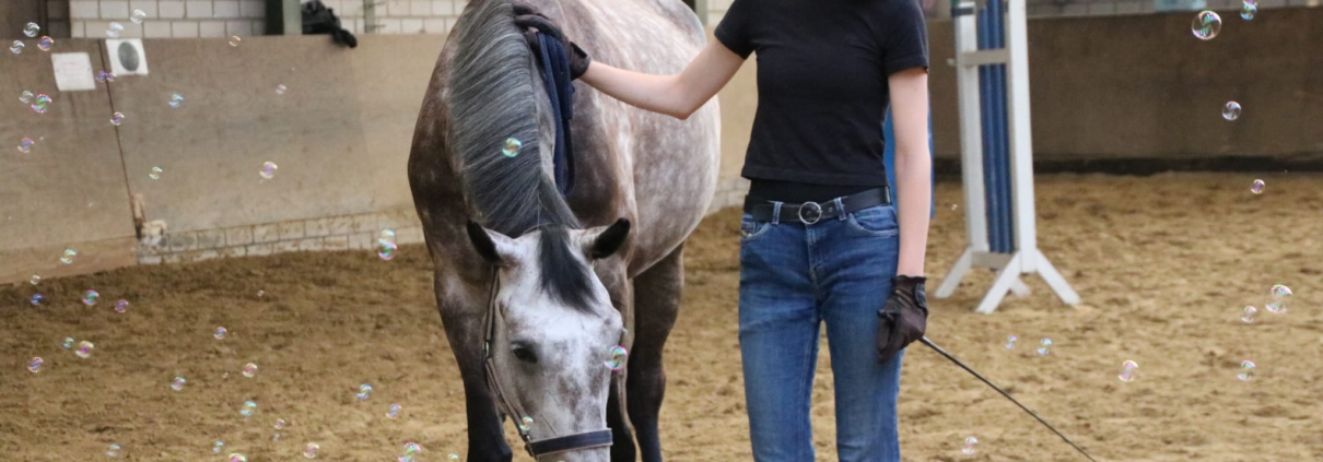 Tiere mit Hochbegabten