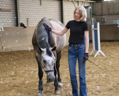 Tiere mit Hochbegabten